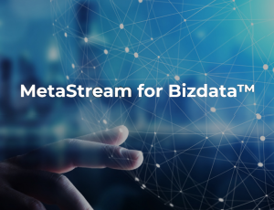 MetaStream for Bizdata