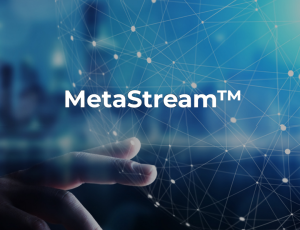 MetaStream