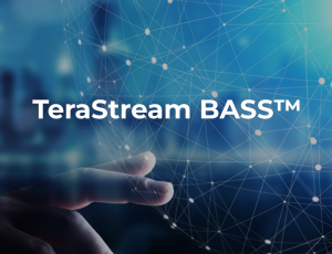 TeraStream BASS