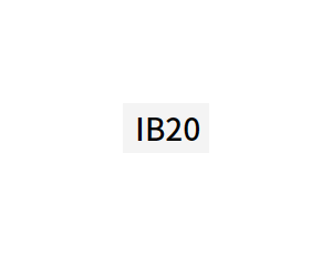 IB20 - 금융서비스 솔루션